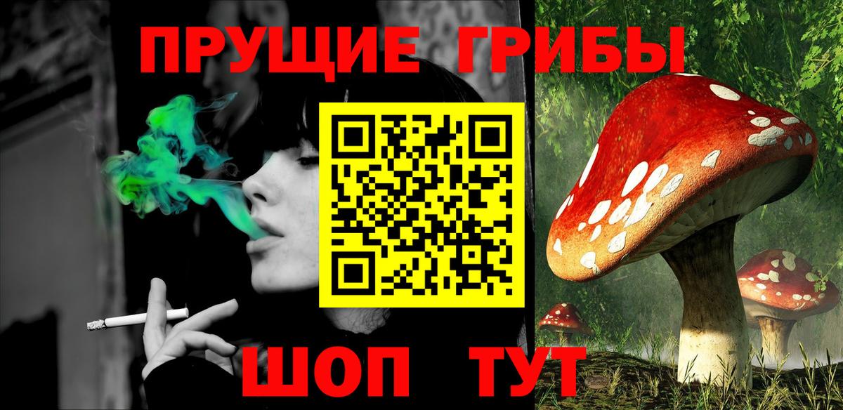 Галлюциногенные грибы Psilocybine cubensis  Вход с VPN  Волгоград 