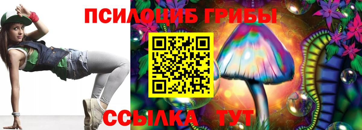 Галлюциногенные грибы Cubensis Волгоград